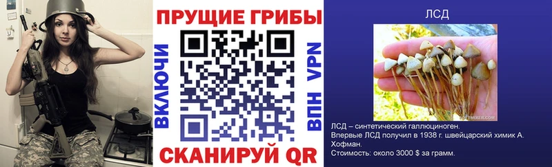цена наркотик  Приволжск  ссылка на мегу   Псилоцибиновые грибы MAGIC MUSHROOMS 